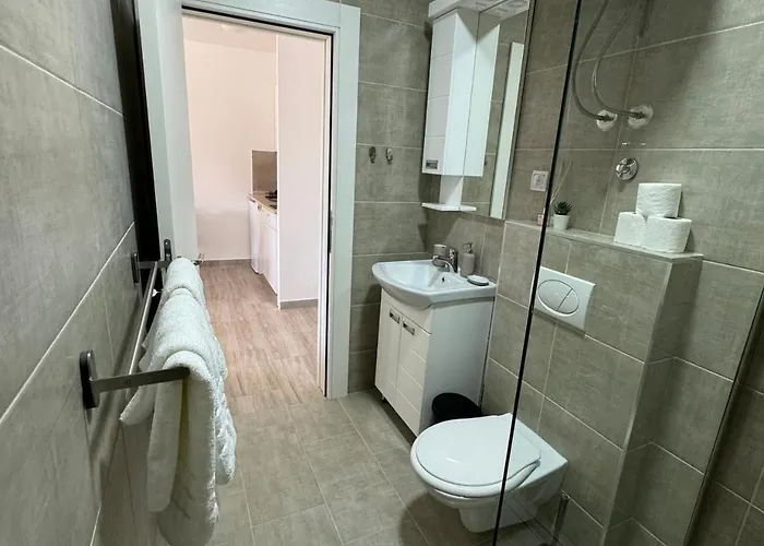 Vasa Srebrno Jezero *